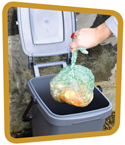 Photograph of the plastic bag filled with food waste being put in the outside food caddy